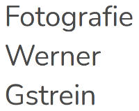 Werner Gestrein